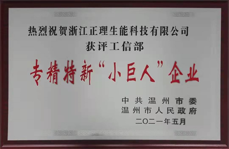 國家級專精特新小巨人.jpg
